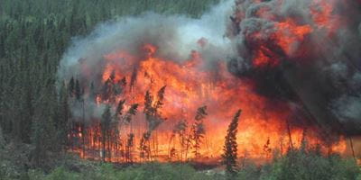 Disaster Mitigation Adaptation Fund