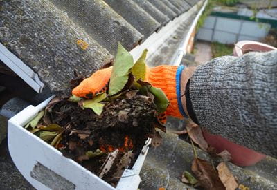A hand wearing an orange glove clears dry leaves from a gutter.